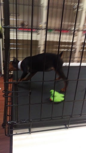 Pet Store «Last Place on Earth Pet Store», reviews and photos, 1461 E Franklin Blvd, Gastonia, NC 28054, USA