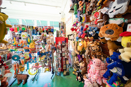 Pet Supply Store «The Dog Store», reviews and photos, 2301 Mt Vernon Ave, Alexandria, VA 22301, USA