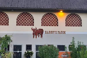 Harry's Farm - Steakhouse am Faaker See image