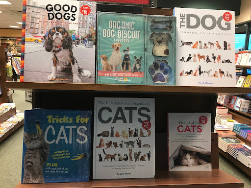 Book Store «Barnes & Noble», reviews and photos, 200 W Rte 70, Marlton, NJ 08053, USA