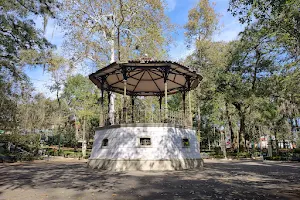 Parque Los Berros image