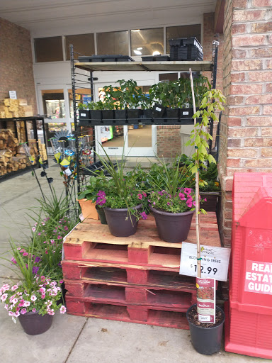 Supermarket «Food City», reviews and photos, 1317 Virginia Ave, Bristol, TN 37620, USA