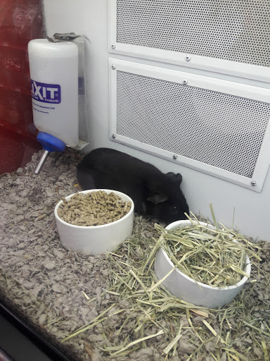 Pet Supply Store «Petco Animal Supplies», reviews and photos, 3525 W Victory Blvd, Burbank, CA 91505, USA