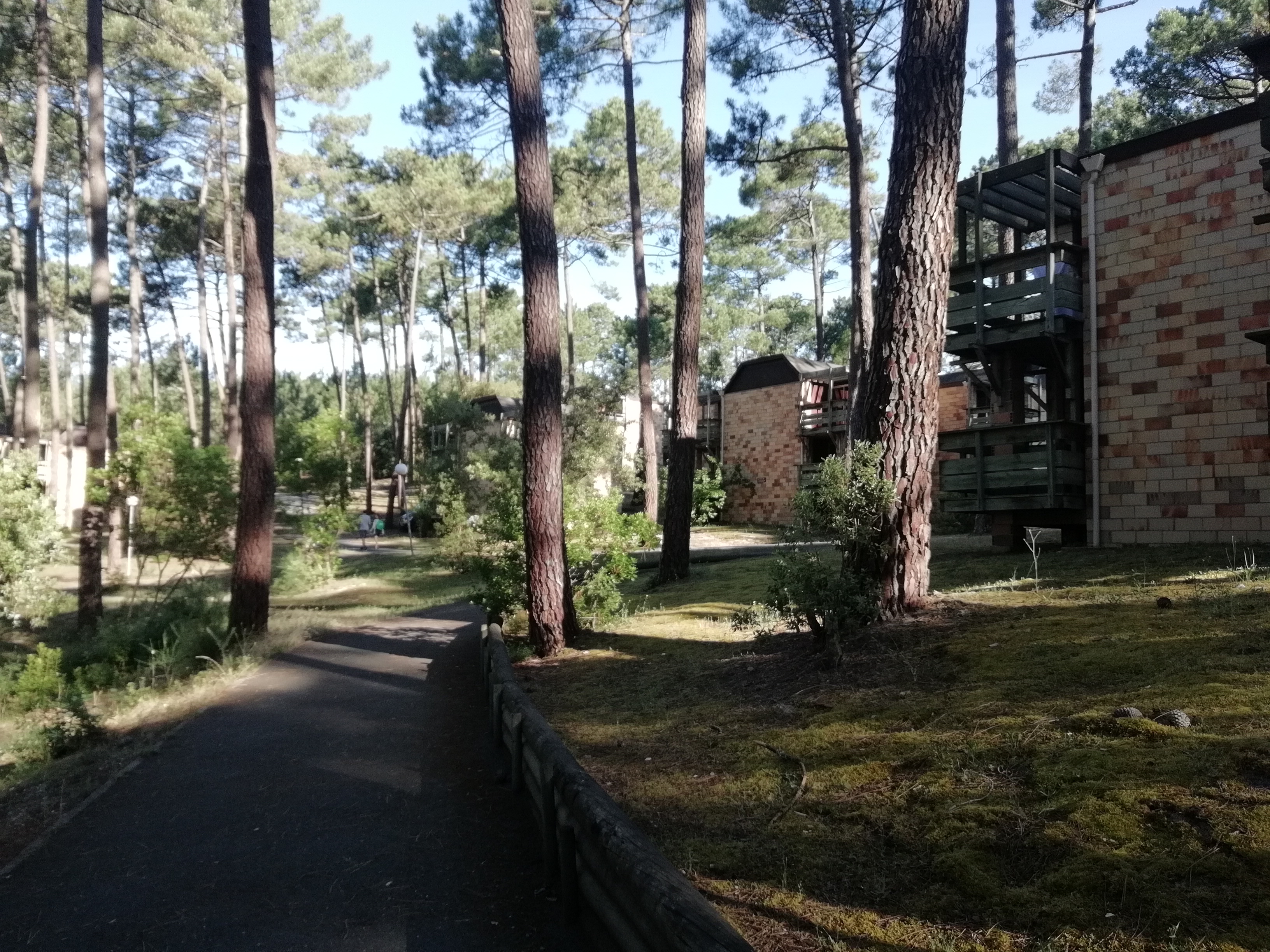 Photo n° 2 de l'avis de Oriana.s fait le 25/06/2018 à 07:36