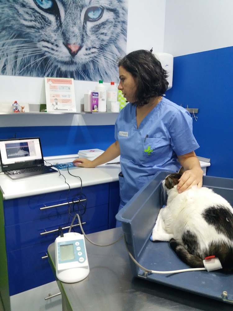 AF1QipMu 9UWereYeLidEHh9dAwpuRFO9YsP3DPjkuhK=w768 h1000 k no