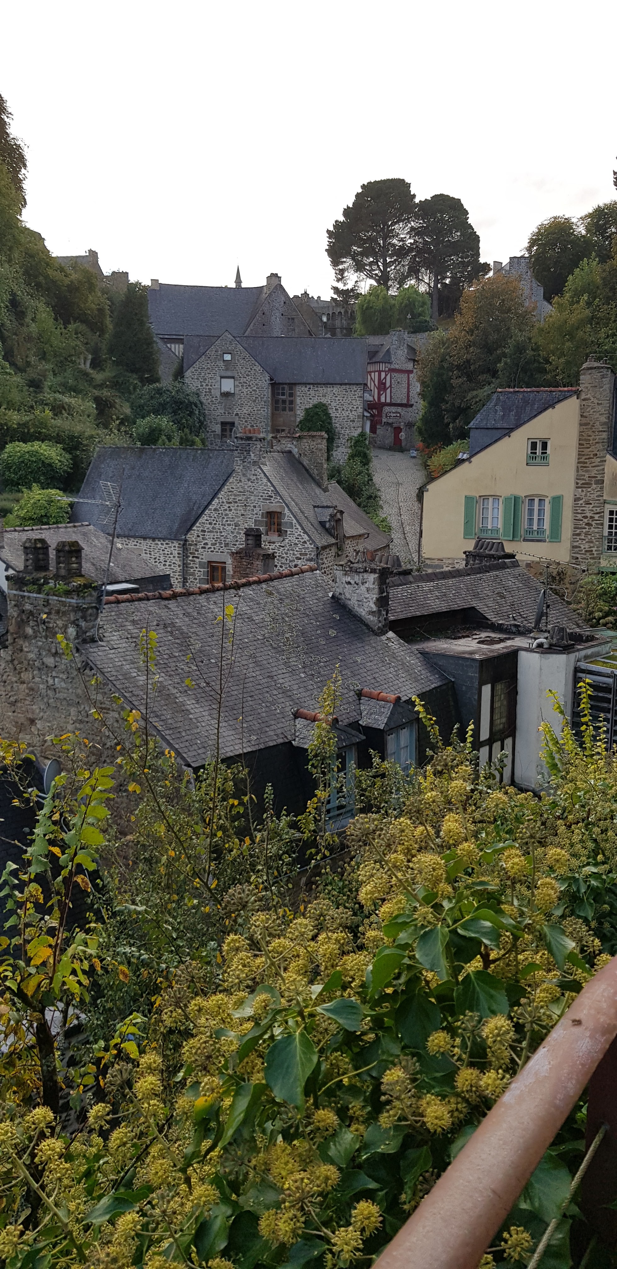 Photo n° 3 de l'avis de Eric.a fait le 22/10/2021 à 06:22