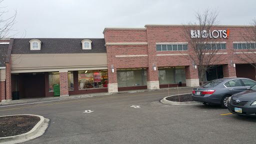 Big Lots, 60 E Schrock Rd, Westerville, OH 43081, USA, 