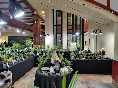 Indoor Plants at Pearl Ridge Mall