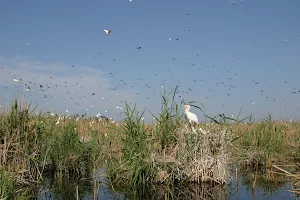 Agh Gol National Park image