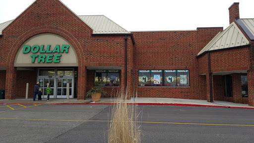 Dollar Store «Dollar Tree», reviews and photos, 340 W Army Trail Rd #120, Bloomingdale, IL 60108, USA