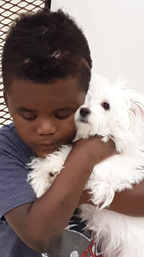 Pet Supply Store «Pet Palace Inc», reviews and photos, 253 Scranton Carbondale Hwy, Scranton, PA 18508, USA