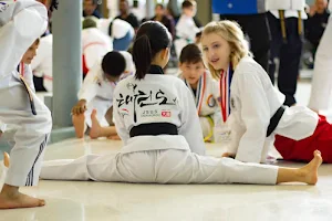 J's U.S. Taekwondo image