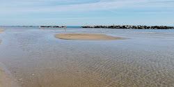 Photo de Spiaggia di Cupra Marittima avec rivage droit, long