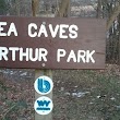 Sea Caves at Arthur Park Trailhead