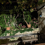 Photo n°4 de l'avis de Patrick.i fait le 10/07/2022 à 19:28 sur le  Ristorante Locanda Del Bel Sorriso à Mattarello