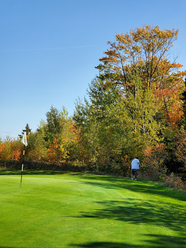 Golf Course «Wild Bluff Golf Course», reviews and photos, 11335 W Lakeshore Dr, Brimley, MI 49715, USA