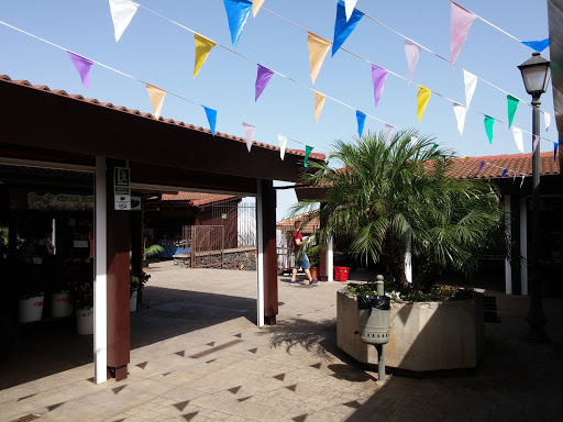 Mercadillo de Tegueste en Tegueste