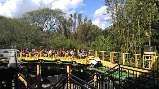 Roller Coaster «Cheetah Hunt», reviews and photos, 10165 N Malcolm McKinley Dr, Tampa, FL 33612, USA