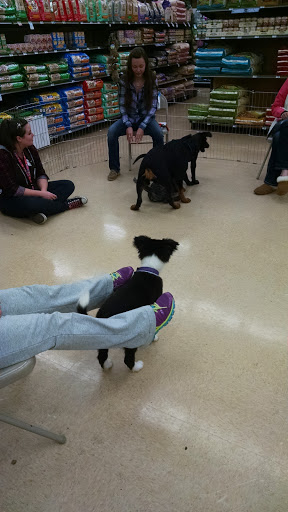 Pet Supply Store «Petco Animal Supplies», reviews and photos, 21700 Market Pl NW, Poulsbo, WA 98370, USA