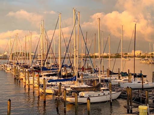 Sailing courses Tampa