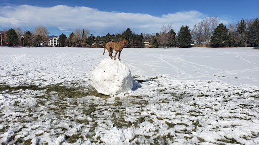 Park «Village Green Park», reviews and photos, 3590 N Carefree Cir, Colorado Springs, CO 80917, USA