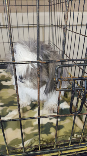 Pet Supply Store «PetSmart», reviews and photos, 1700 Norman Dr #200, Valdosta, GA 31601, USA