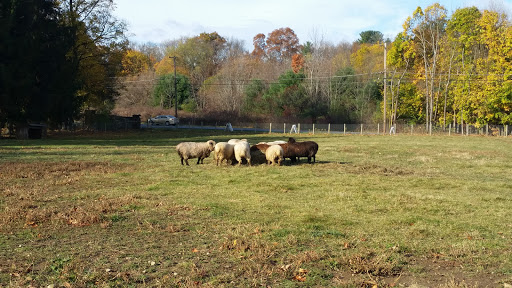 Farm «Wm. H. Buckley Farm», reviews and photos, 946 NY-50, Ballston Lake, NY 12019, USA