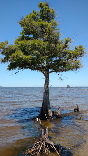 Golf Course «Nags Head Golf Links», reviews and photos, 5615 S Seachase Dr, Nags Head, NC 27959, USA