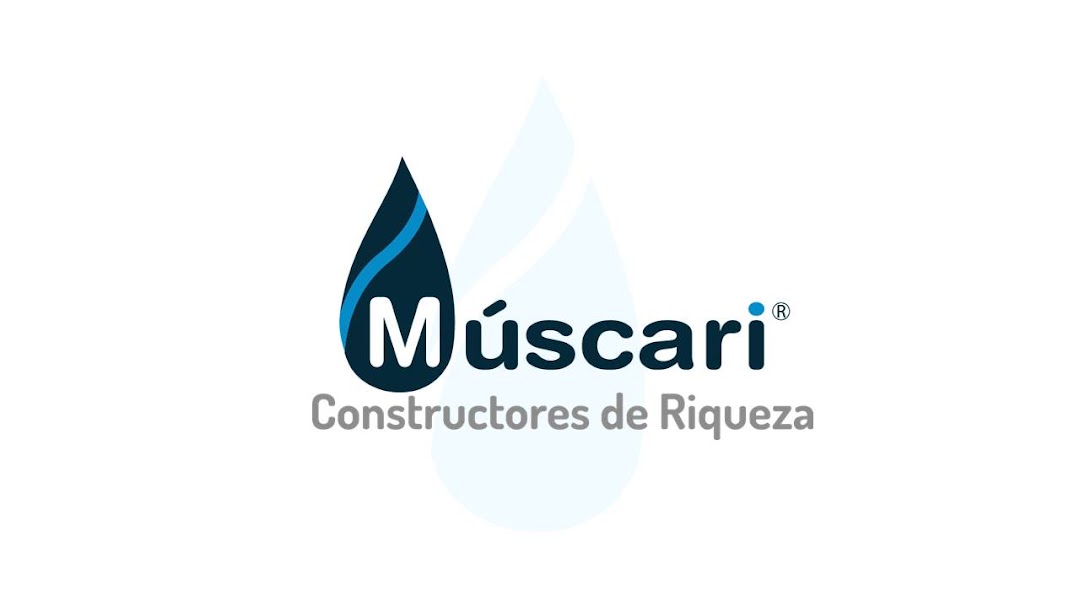 Centro de distribucion Muscari-LilyEstetic