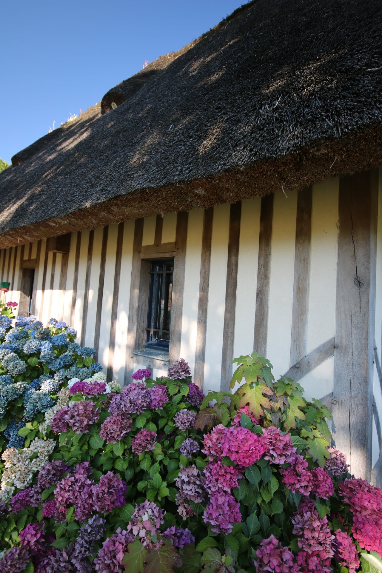 Photo n° 19 de l'avis de Rich. fait le 21/08/2018 à 18:53