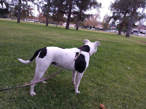 Golf Course «Balboa Golf Course», reviews and photos, 16821 Burbank Blvd, Encino, CA 91436, USA