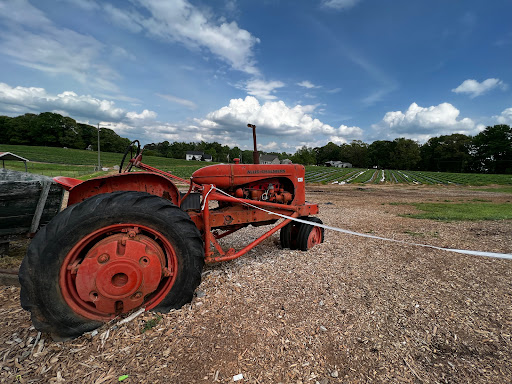 Farm «Warbington Farms (U-Pick Strawberries)», reviews and photos, 5555 Crow Rd, Cumming, GA 30041, USA