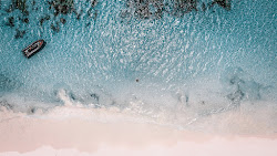 Photo de Plage de Mbuyuni situé dans une zone naturelle