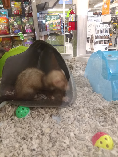 Pet Supply Store «Petco Animal Supplies», reviews and photos, 220 Maine Mall Rd, South Portland, ME 04106, USA