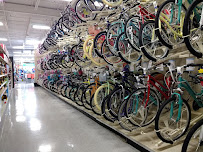Academy Sports + Outdoors
