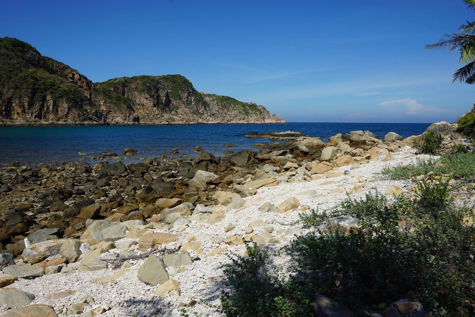 Photo de Reef Beach avec moyenne baie