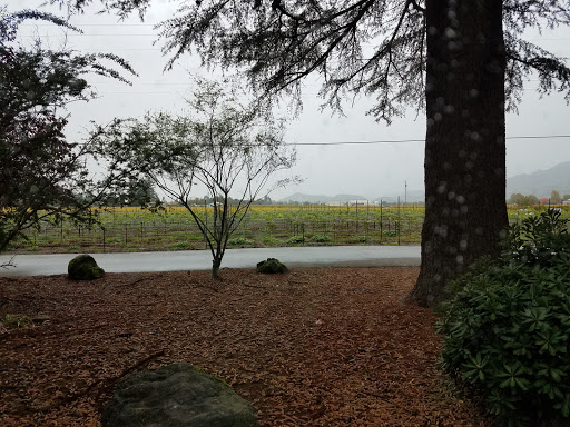 Winery «Andretti Winery», reviews and photos, 4162 Big Ranch Rd, Napa, CA 94558, USA