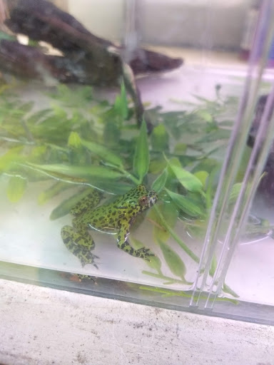 Tropical Fish Store «Monfort Aquarium & Pet», reviews and photos, 6520 Colerain Ave, Cincinnati, OH 45239, USA