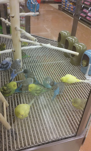 Pet Supply Store «Petco Animal Supplies», reviews and photos, 1145 N Hermitage Rd, Hermitage, PA 16148, USA