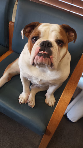 Auto Repair Shop «B&M Auto Specialists», reviews and photos, 1516 FM157, Mansfield, TX 76063, USA