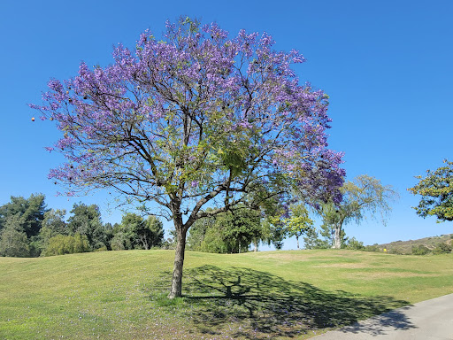 Golf Course «Coyote Hills Golf Course», reviews and photos, 1440 E Bastanchury Rd, Fullerton, CA 92835, USA
