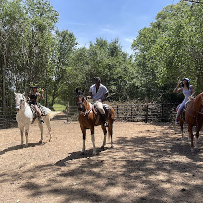 King Ranch Horse Boarding Pony Parties Events