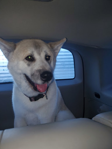 Pet Supply Store «Petco Animal Supplies», reviews and photos, 205 SE 5th St, Ames, IA 50010, USA