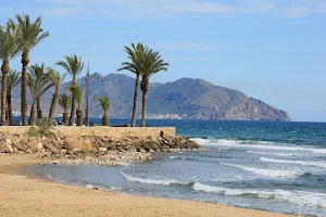 Playa Del Rihuete image