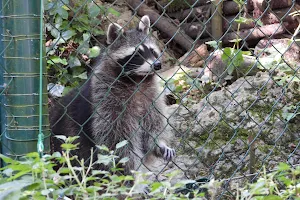 Tierpark Biel image