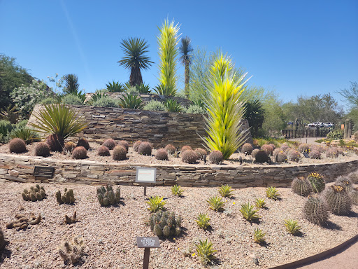 Botanical Garden «Desert Botanical Garden», reviews and photos, 1201 N Galvin Pkwy, Phoenix, AZ 85008, USA