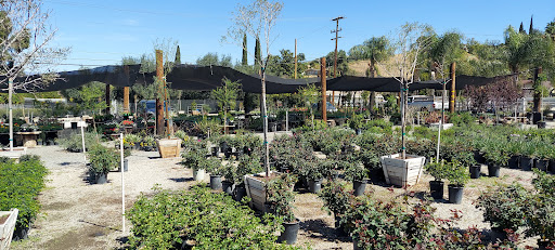 Plant nursery San Bernardino