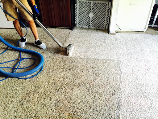 Auckland Steam 'n' Dry Carpet Cleaning