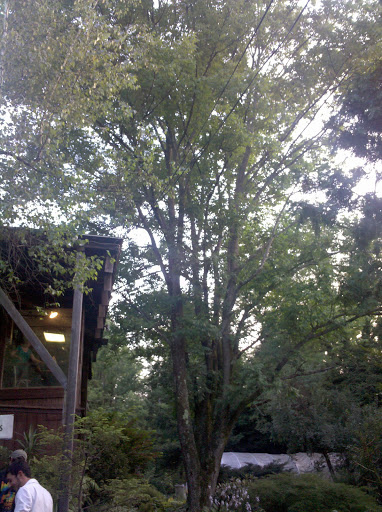 Gift Shop «Stonehedge Gardens», reviews and photos, 51 Dairy Rd, Tamaqua, PA 18252, USA