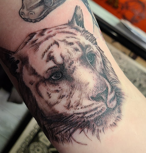 Explore half a sleeve tattoo ideas, creative tattoo ideas in Melbourne, available at Reef Side Tattoo Melbourne Tattoo Shop